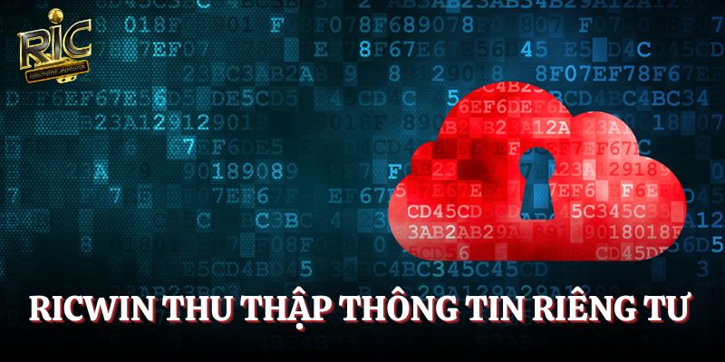Ricwin chỉ thu thập thông tin riêng tư cần thiết