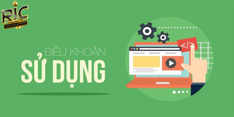Tổng hợp những điều khoản sử dụng tại Ricwin quan trọng