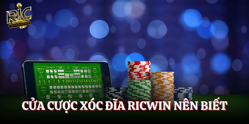 Cửa cược Xóc đĩa Ricwin nên biết
